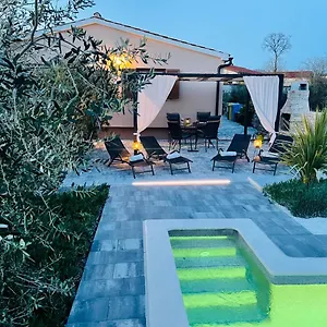 House Tesser With Pool Ferienhaus Galižana